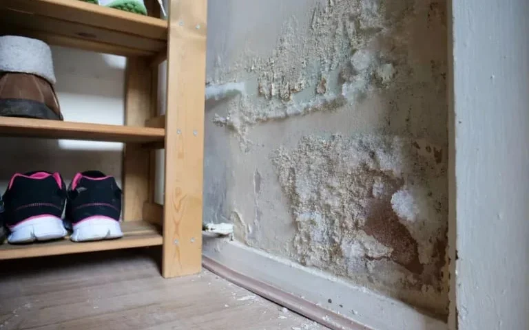 housing disrepair survey in Liverpool