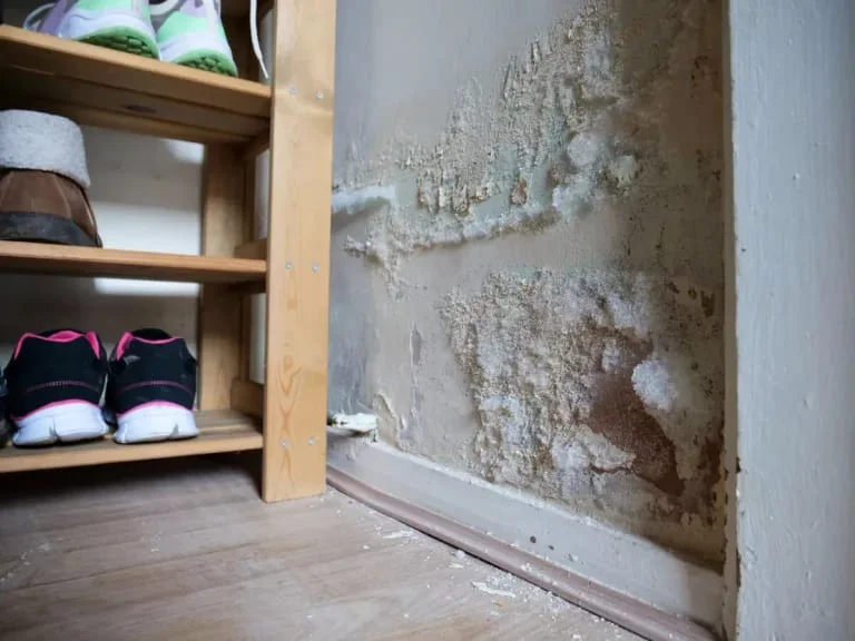 Housing disrepair in Liverpool
