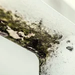 24 hour Damp and Mould Surveys - Awaab's law