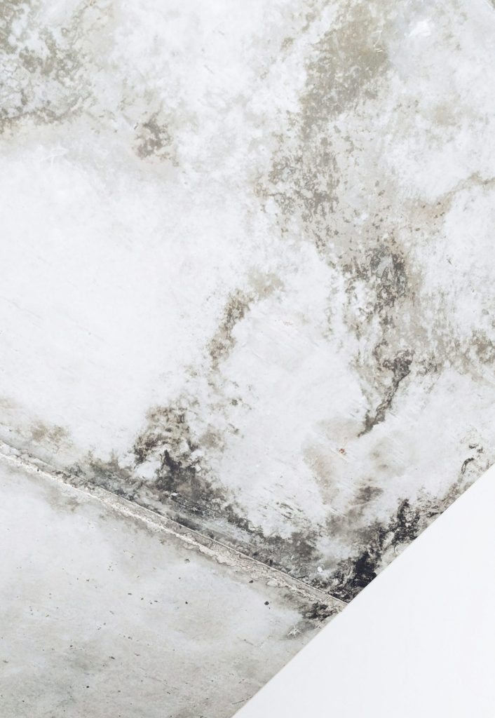 Damp and Mould Surveys in Liverpool with 24 hour turnaround